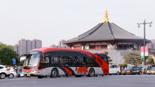 1621299061198939.jpg D1.jpg